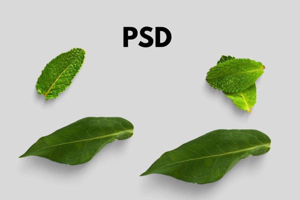 O PSD é o formato de arquivo nativo do Adobe Photoshop e é amplamente utilizado por designers gráficos e fotógrafos. Ele oferece suporte a camadas, máscaras, ajustes de cores e outras informações complexas presentes em projetos gráficos.